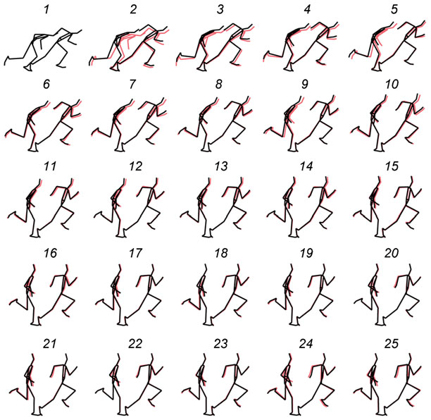 Représentation schématique de la position des segments a l'impact et au décollage du 1er au 25eme appui soit toute la phase d'accélération. Les numéros indiquent les appuis respectifs. Les dessins rouges qui surpassent les noirs correspondent à la position juste avant les points temporels de référence.